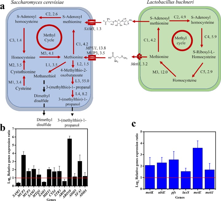 FIG 6