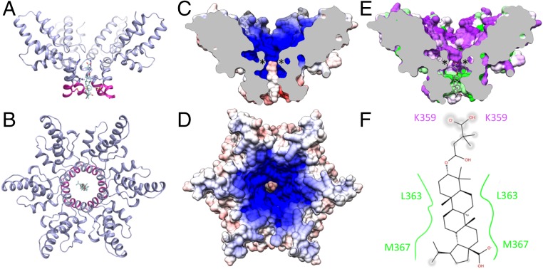 Fig. 6.