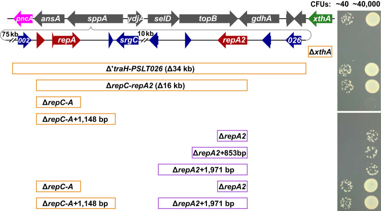 FIG 4