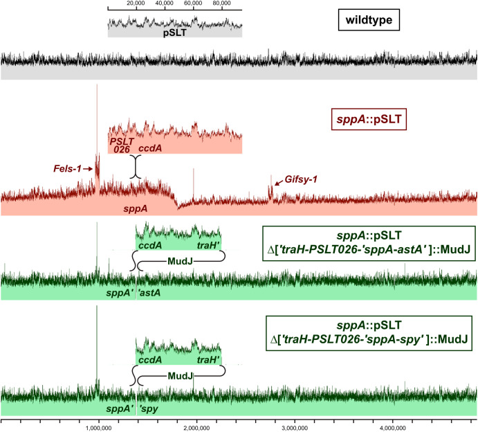 FIG 3