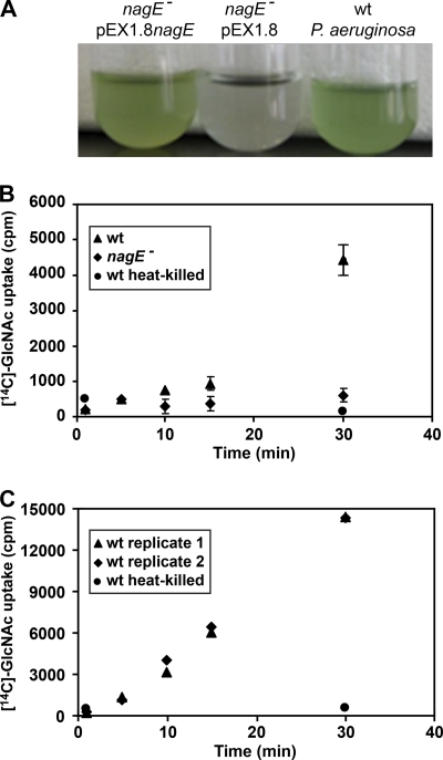 FIG. 6.