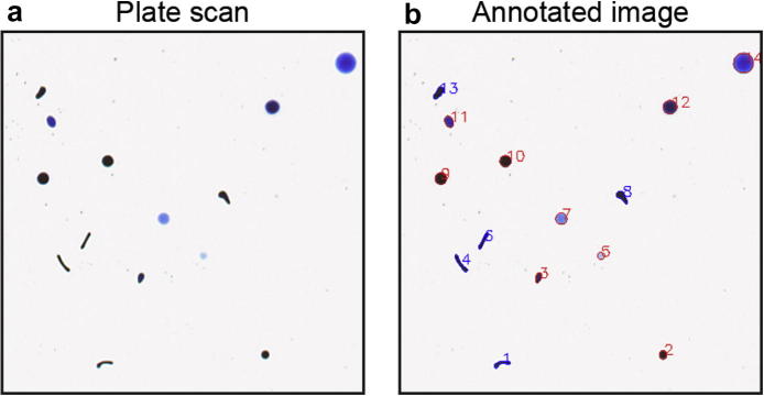 Fig. 1