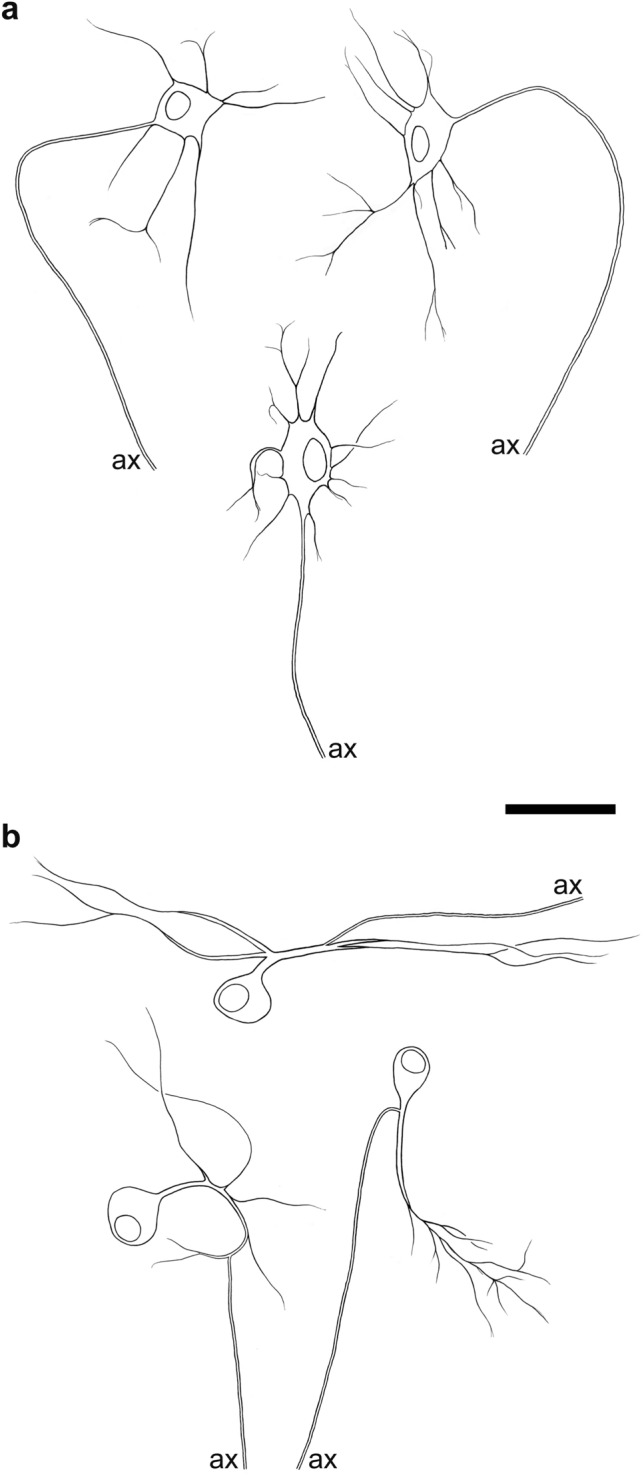 Fig. 5