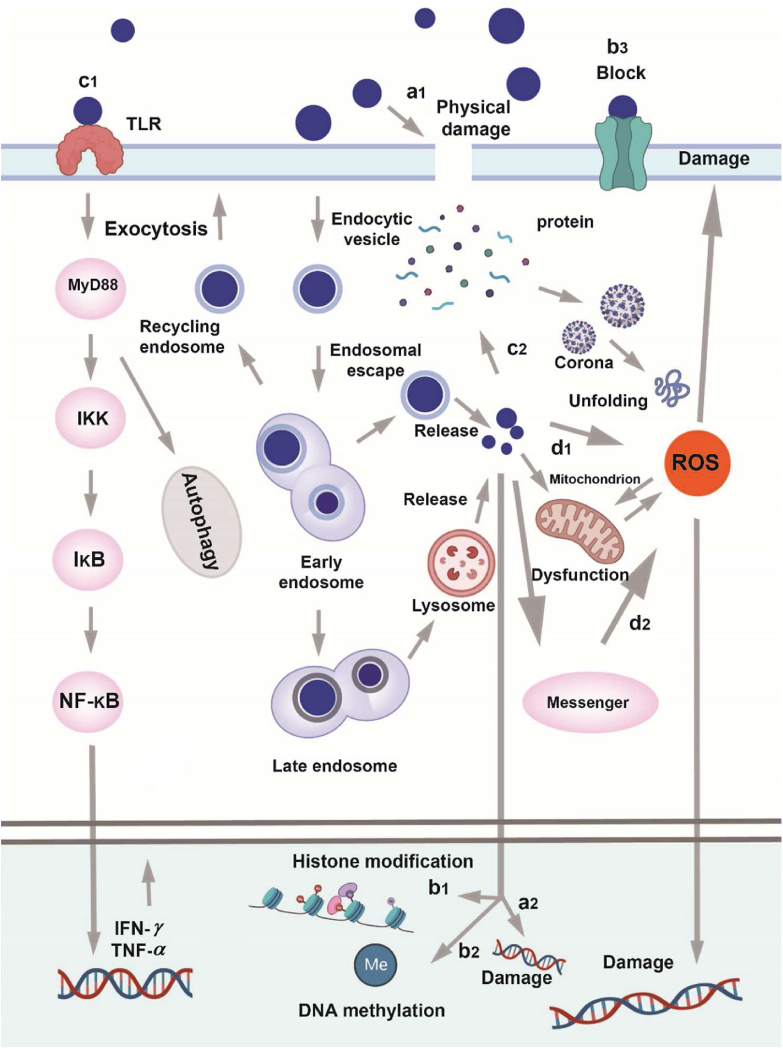 Figure 10