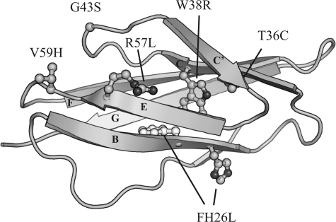 FIGURE 3.