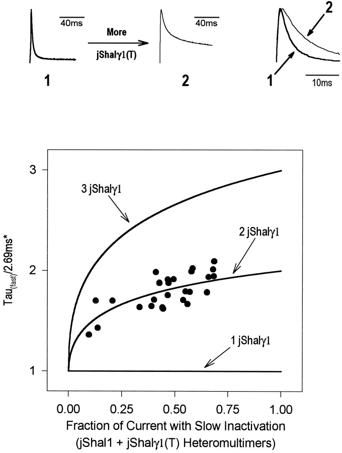 Fig. 8.