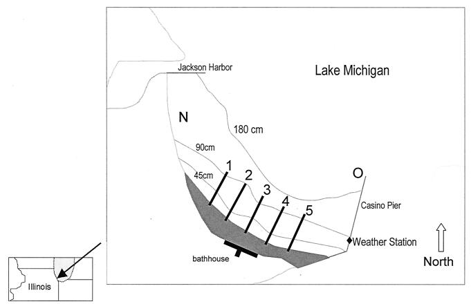 FIG. 1.