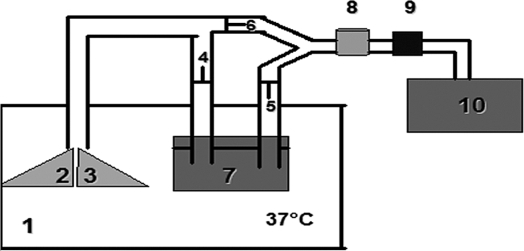 Figure 1 -