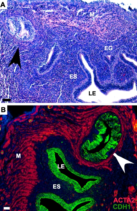 FIG. 6.