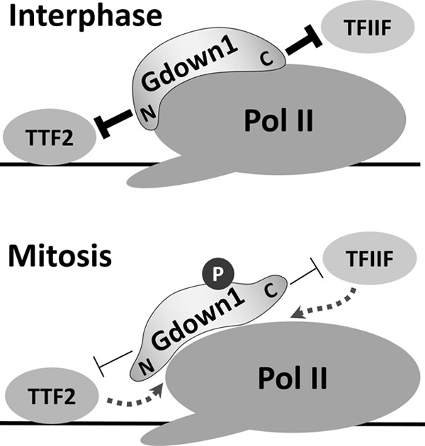 FIGURE 7.