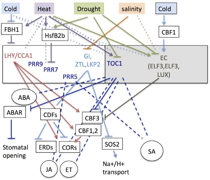 FIGURE 3