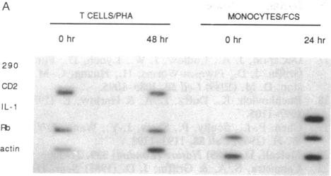 graphic file with name pnas01032-0399-a.jpg