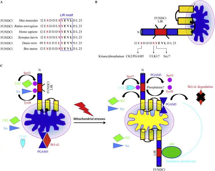 Figure 3