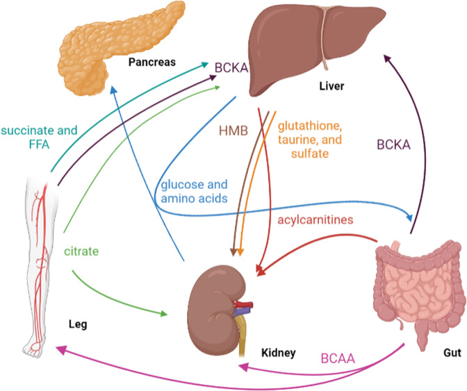 Fig. 3