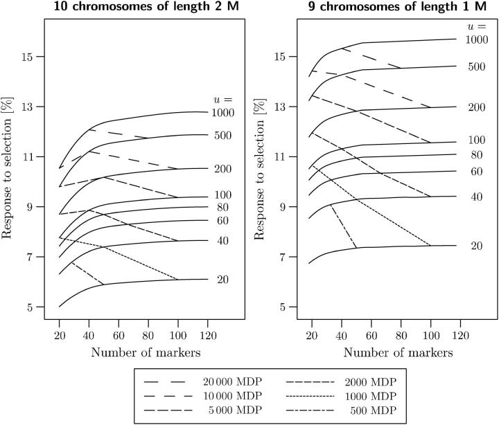 Figure 2.—