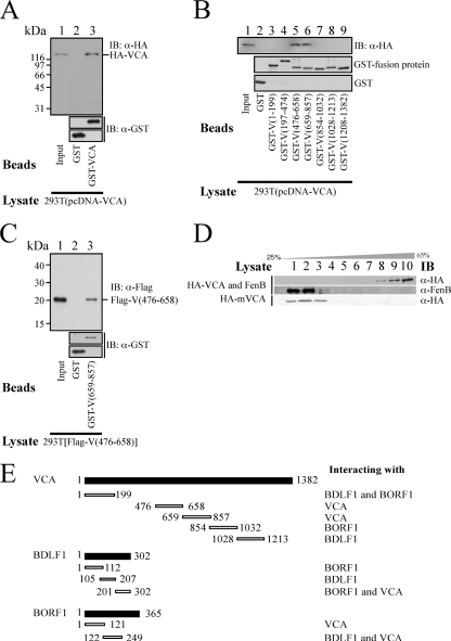 FIG. 6.