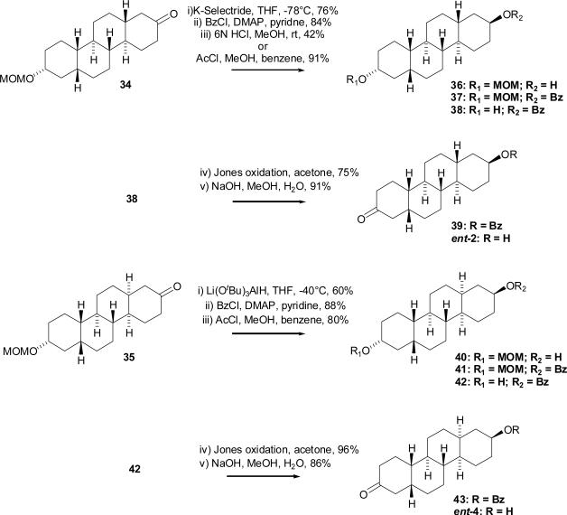 Scheme 5