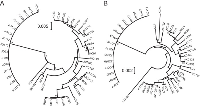 FIG 2