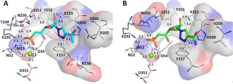 Figure 6