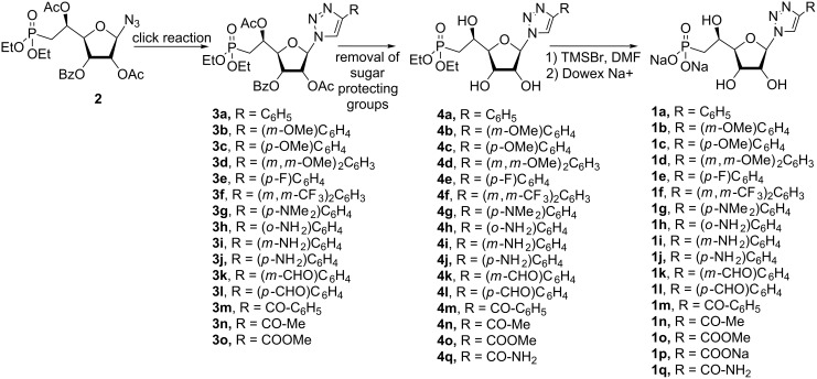 Scheme 2