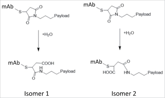 Scheme 2.