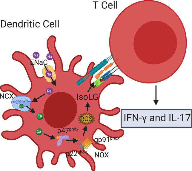 Figure 3.