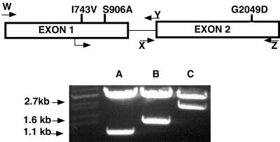 FIG. 4