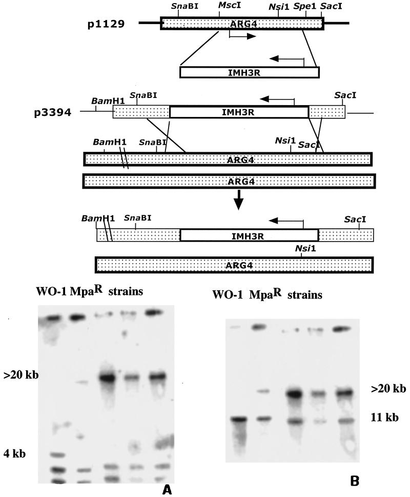 FIG. 5