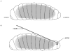 Protocol 5 Figure 1