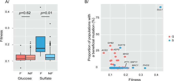 Fig 5