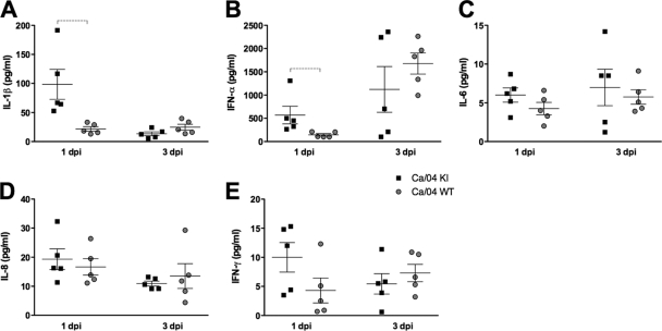 Fig 6