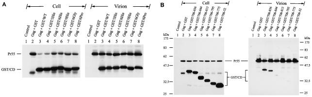 FIG. 9.