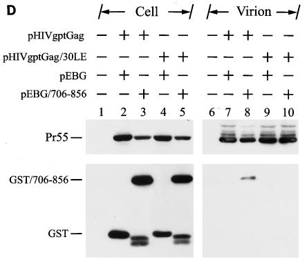 FIG. 8.