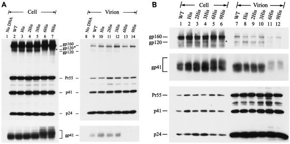 FIG. 3.