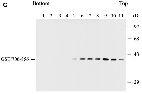 FIG. 8.