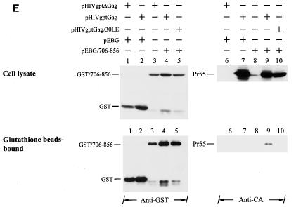 FIG. 8.