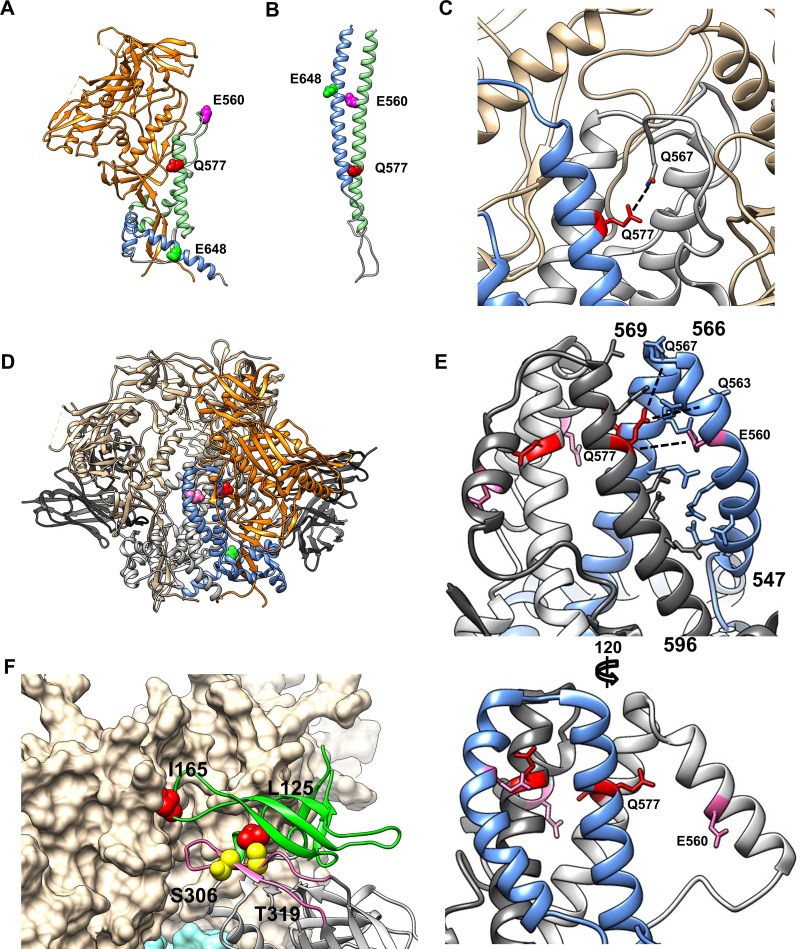 FIG 6