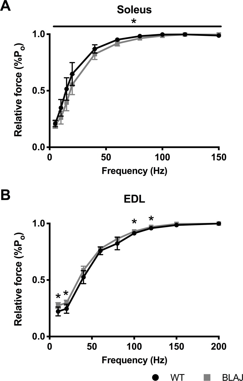 Fig 5