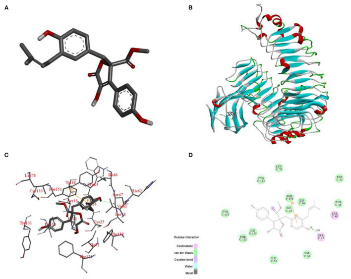 Figure 11