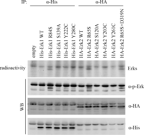 FIGURE 9.