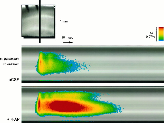 Fig. 3.