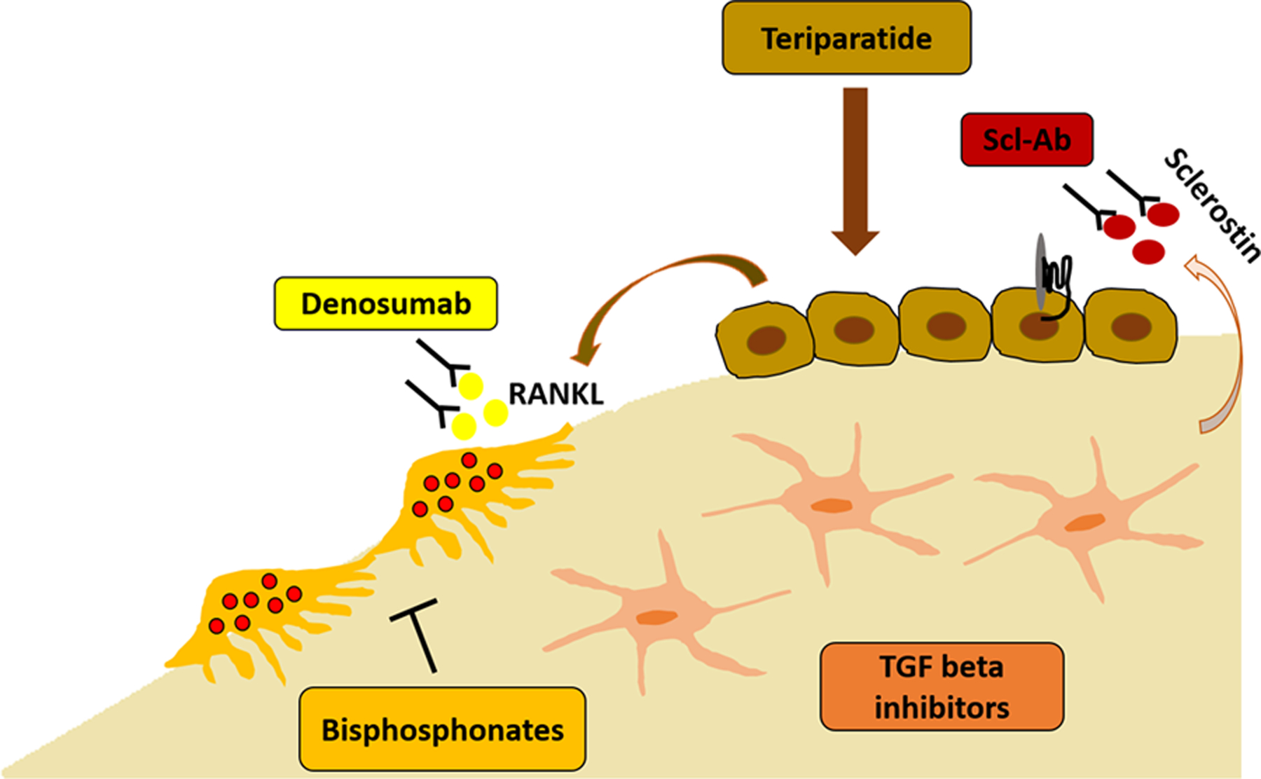 Figure 1: