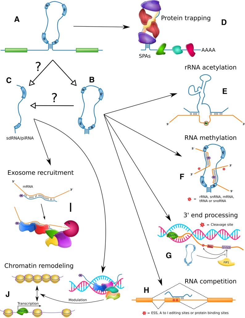 Figure 4.