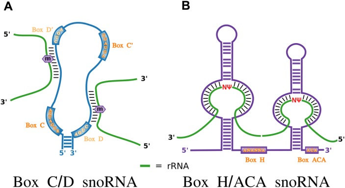 Figure 2.