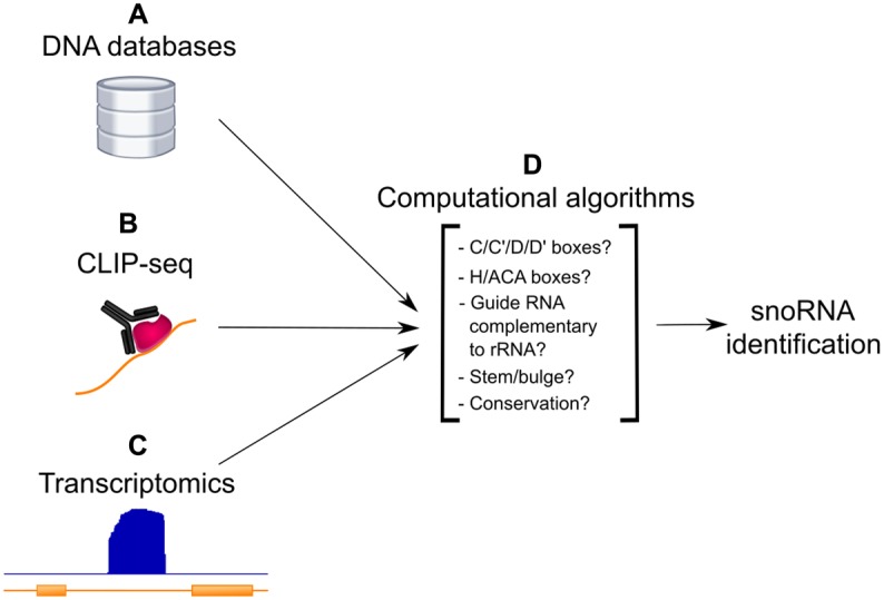 Figure 3.