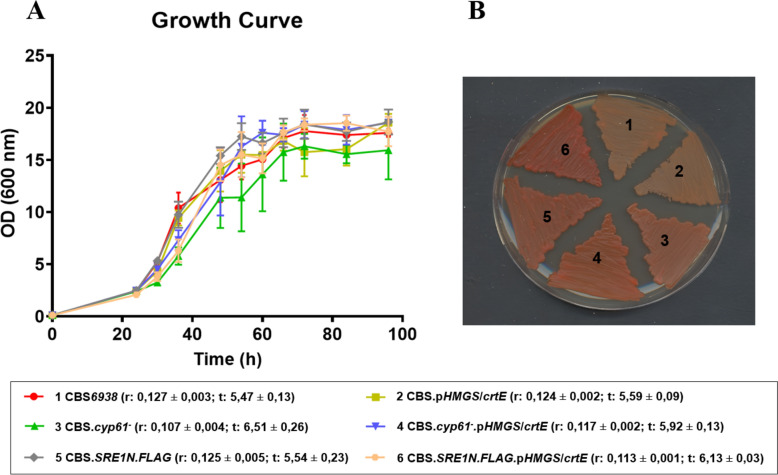 Fig. 3