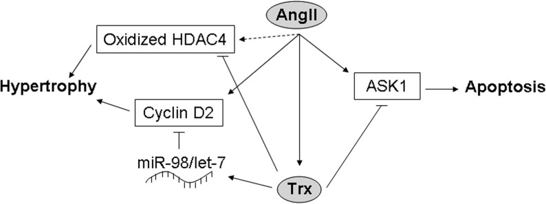 FIG. 5.