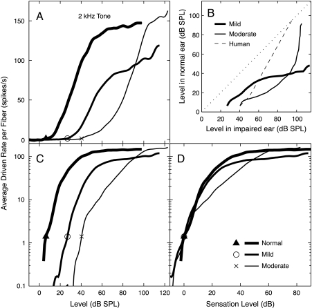 Fig. 10