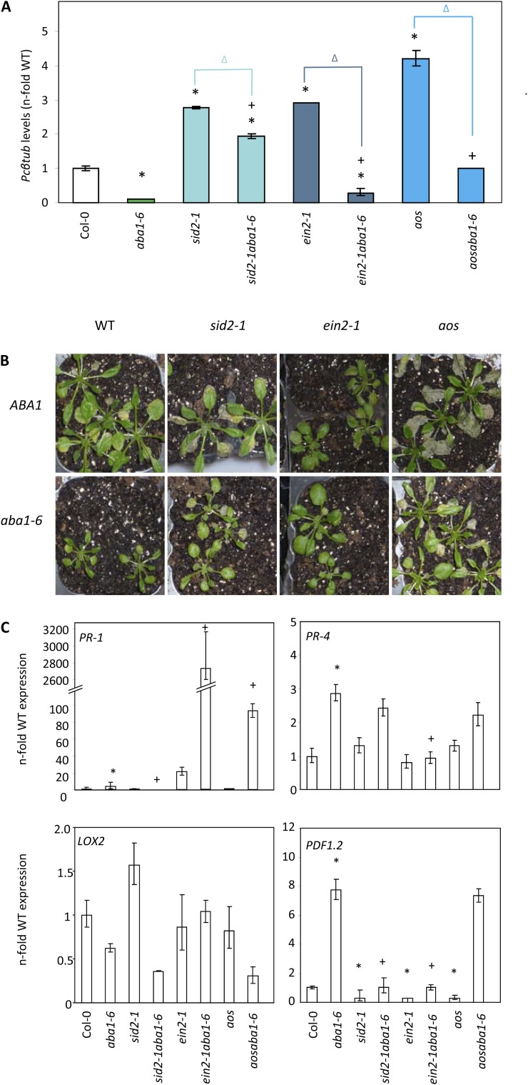 Figure 4.