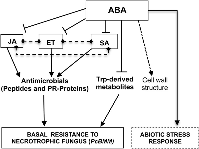 Figure 7.